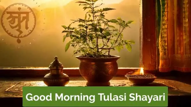 Good Morning Tulasi Shayari – माँ तुलसी के आशीर्वाद से दिन बनाएं पवित्र